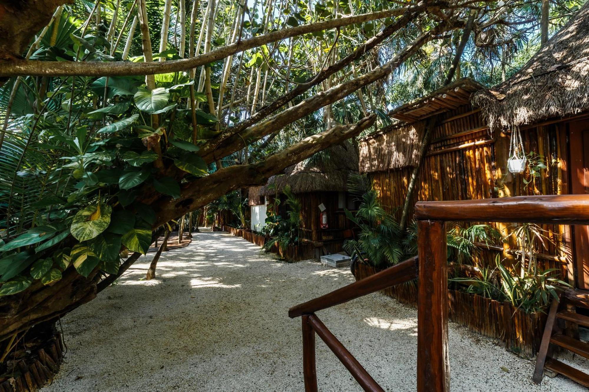 Eco Banitas Tulum Exterior foto