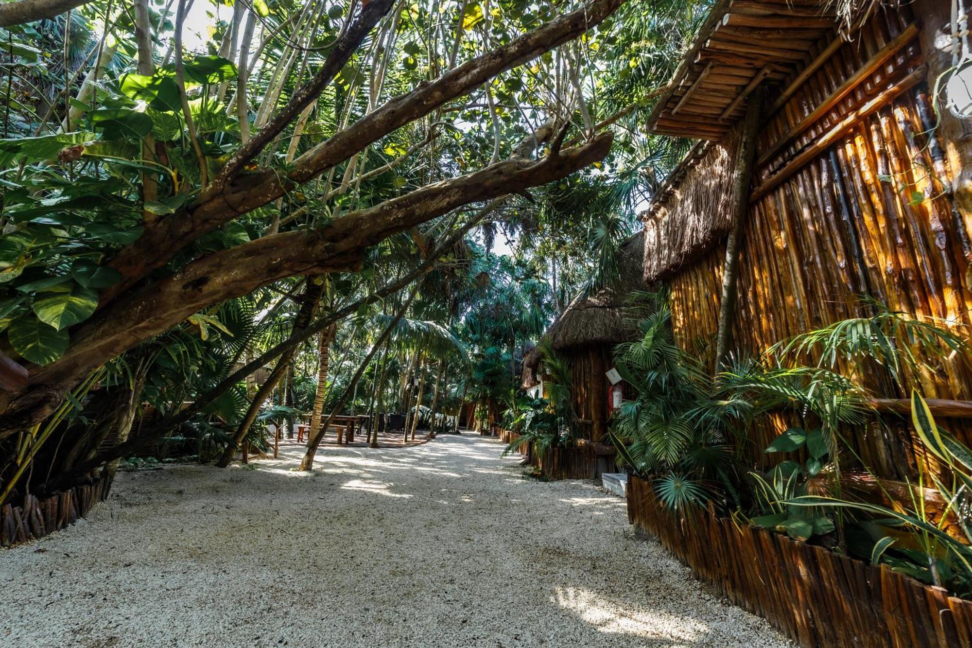 Eco Banitas Tulum Exterior foto