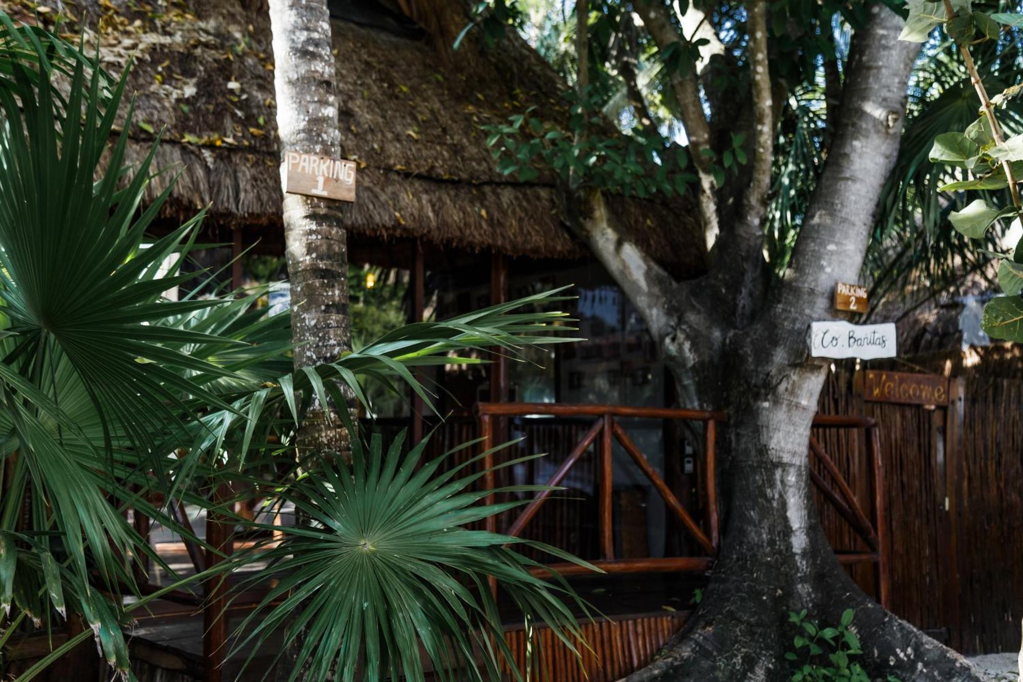 Eco Banitas Tulum Exterior foto